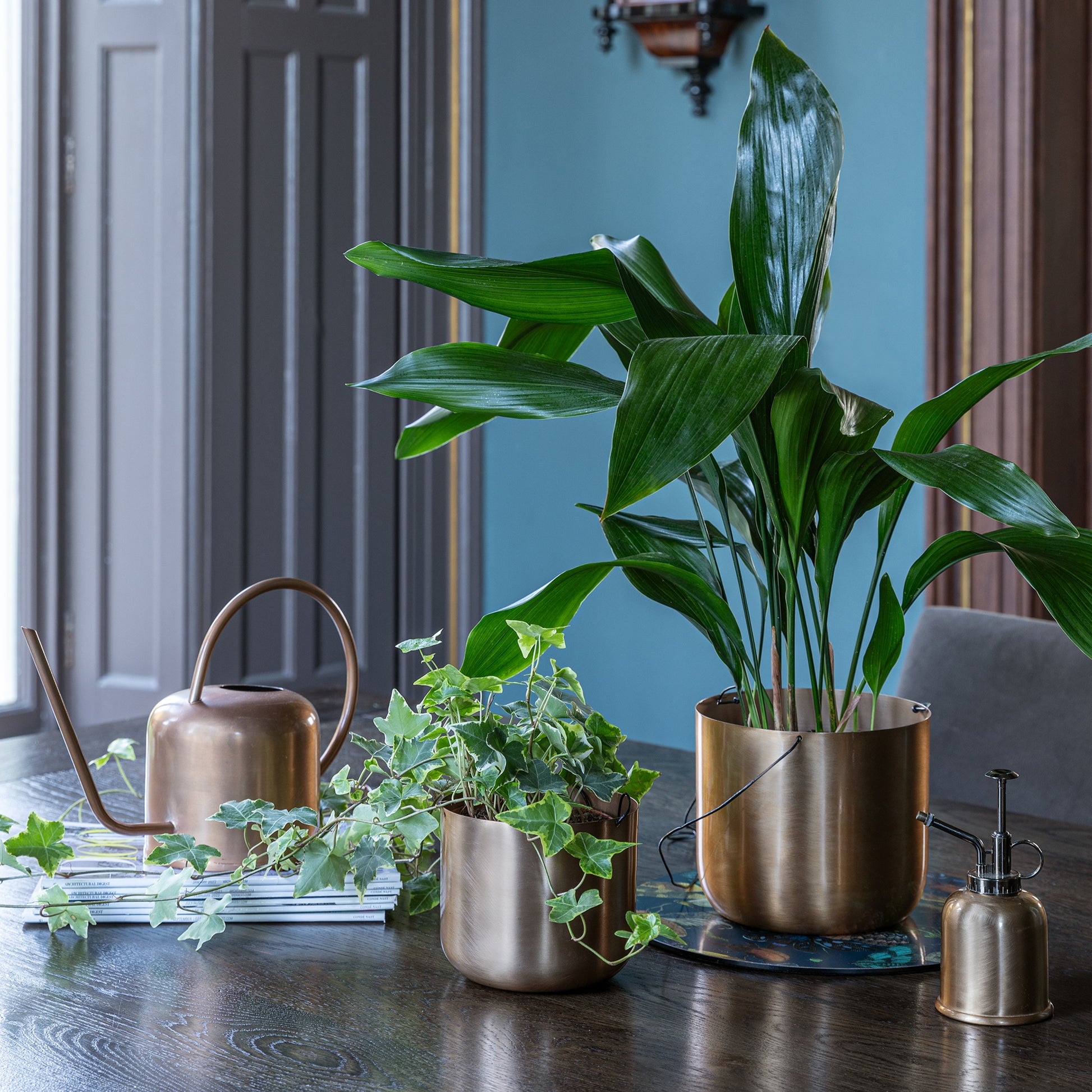 Skandi London Indoor Plant Mister in Brass - Skandi London