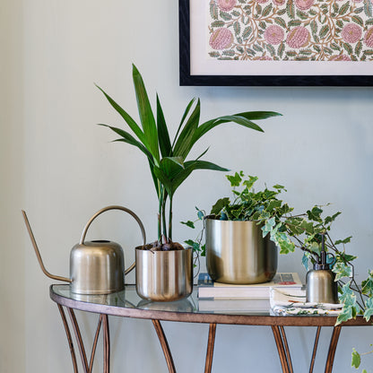 Skandi London Indoor Plant Mister in Brass - Skandi London
