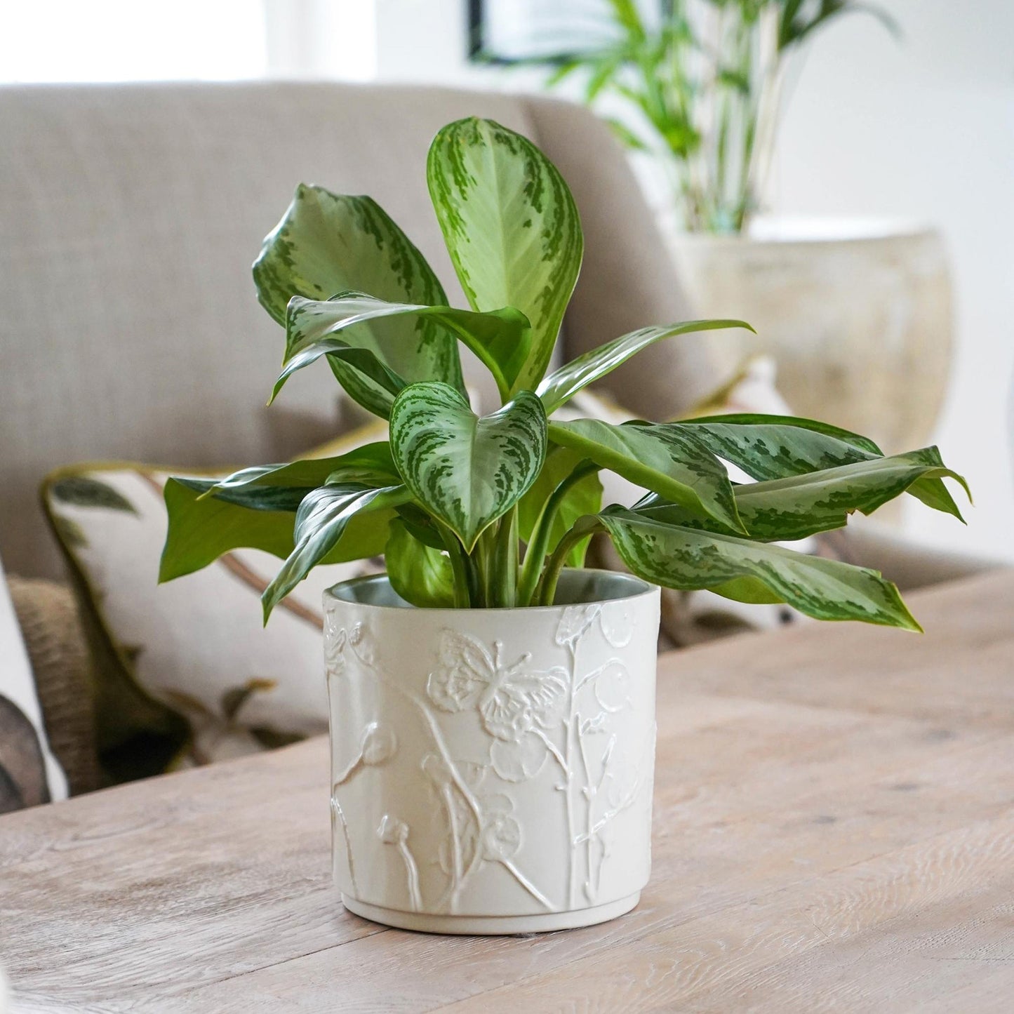 Skandi London Verdant Planter in Soft Ivory - Small - Skandi London