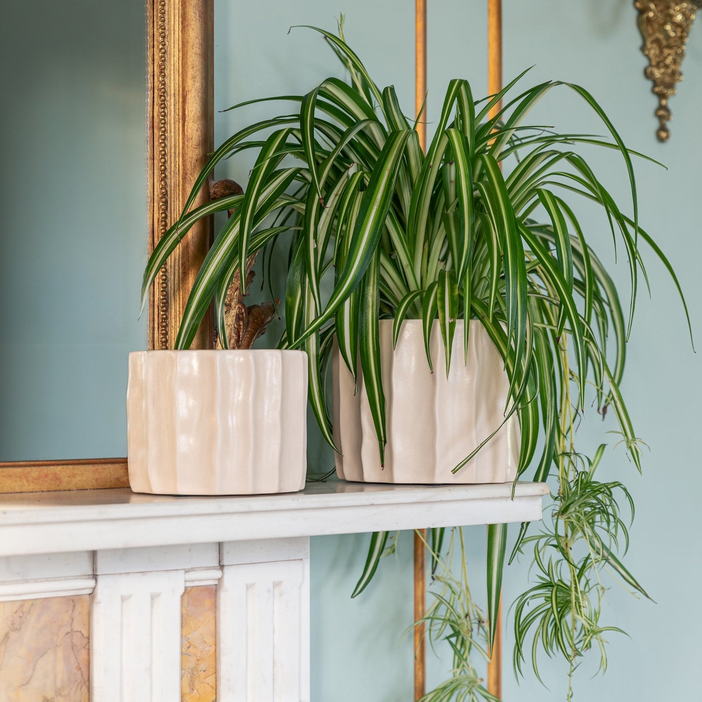 Skandi London Natural Flow Planter in Bone - Large - Skandi London