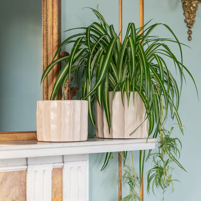 Skandi London Natural Flow Planter in Bone - Large - Skandi London