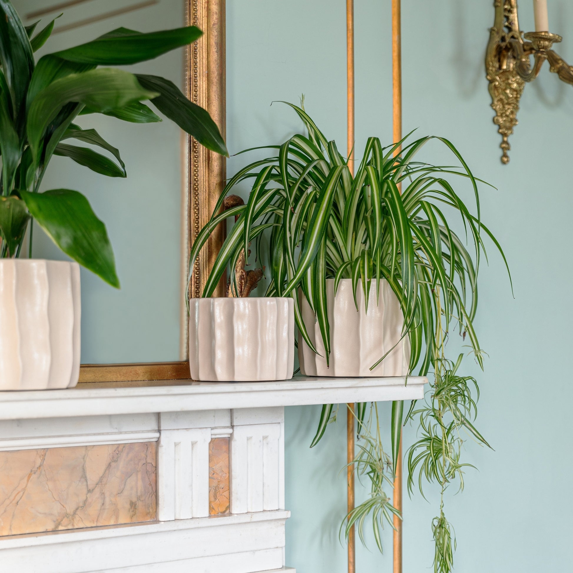 Skandi London Natural Flow Planter in Bone - Large - Skandi London