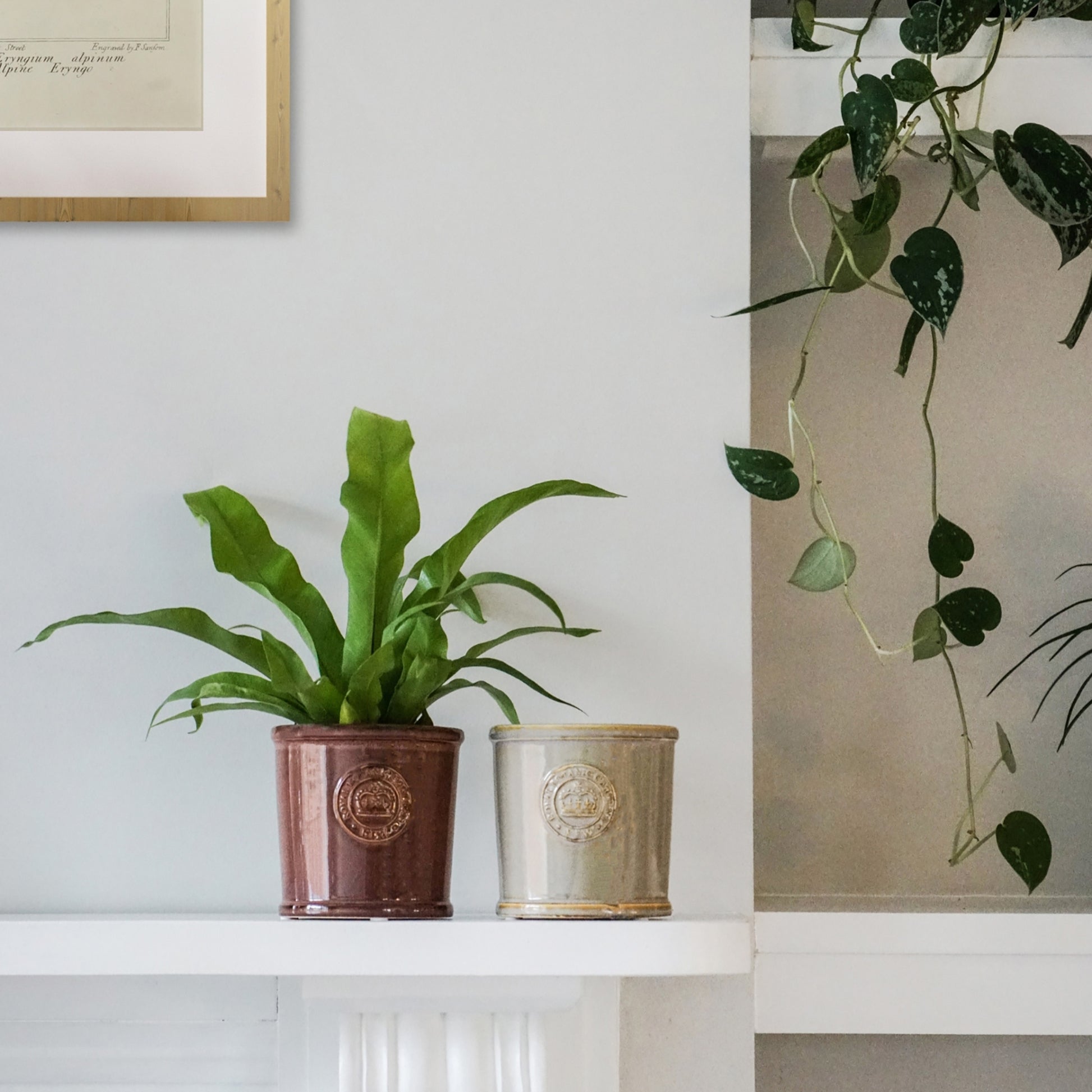 Skandi London Gloss Planter in Ivory - Skandi London