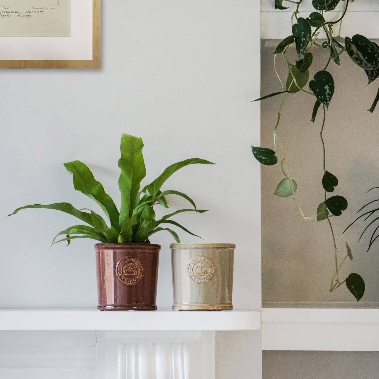 Skandi London Gloss Planter in Plum - Skandi London