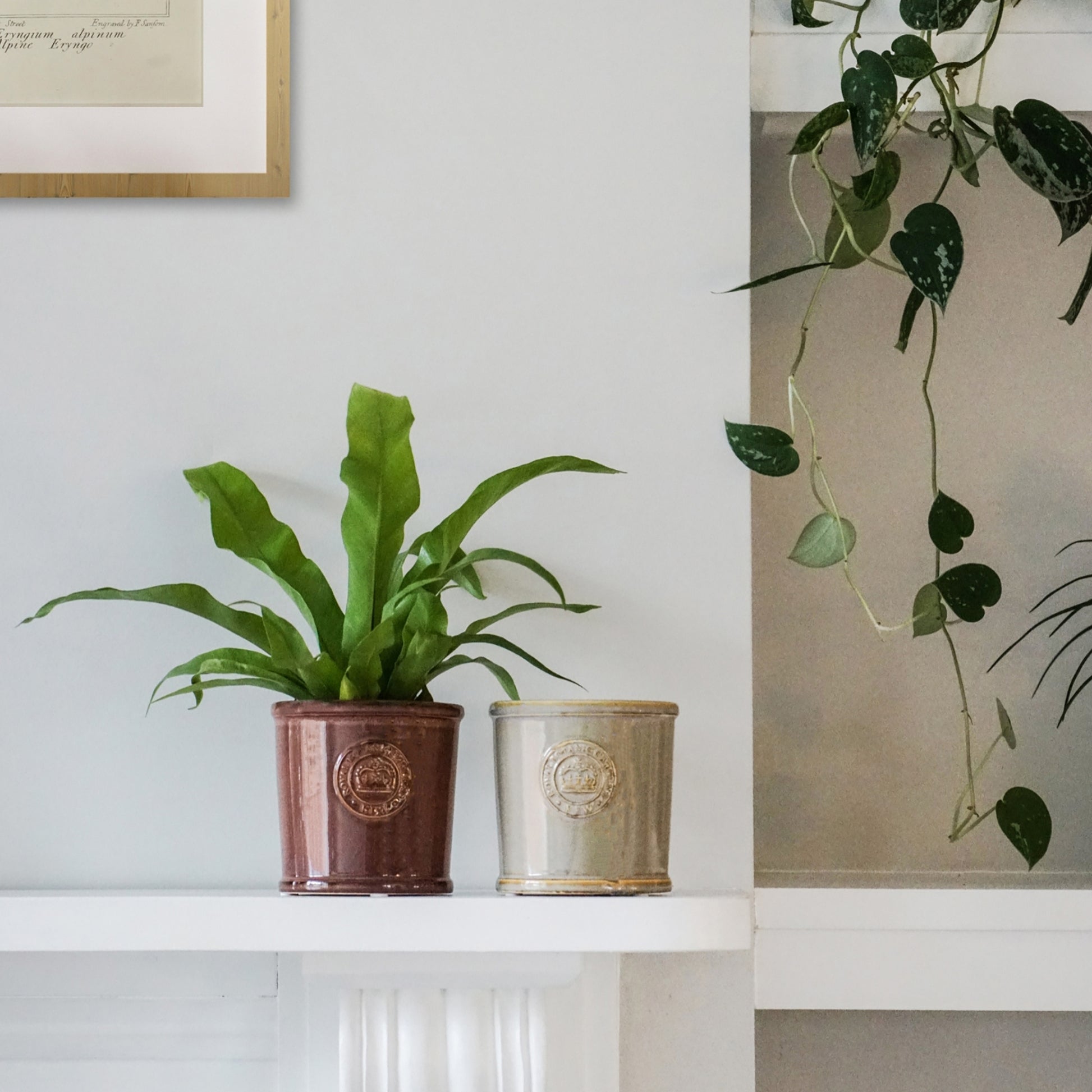 Skandi London Gloss Planter in Plum - Skandi London