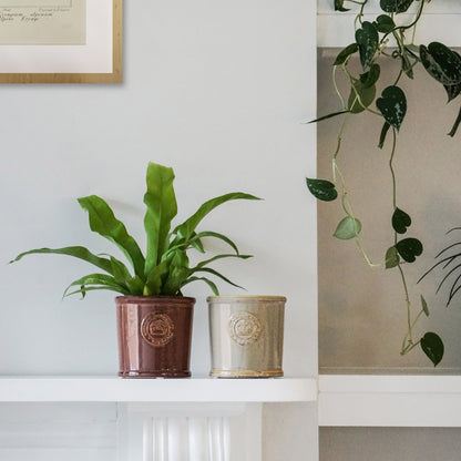 Skandi London Gloss Planter in Plum - Skandi London