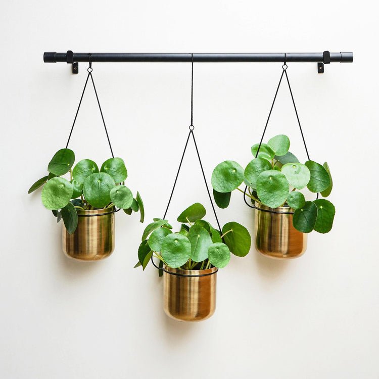 Linear Hanging Planters 81CM Black and Gold - Skandi London