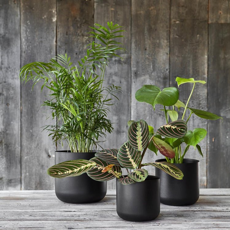 Lisbon Planter Anthracite H26Cm D26Cm - Skandi London