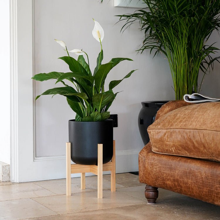 Lisbon Pot and Stand Anthracite D26Cm - Skandi London
