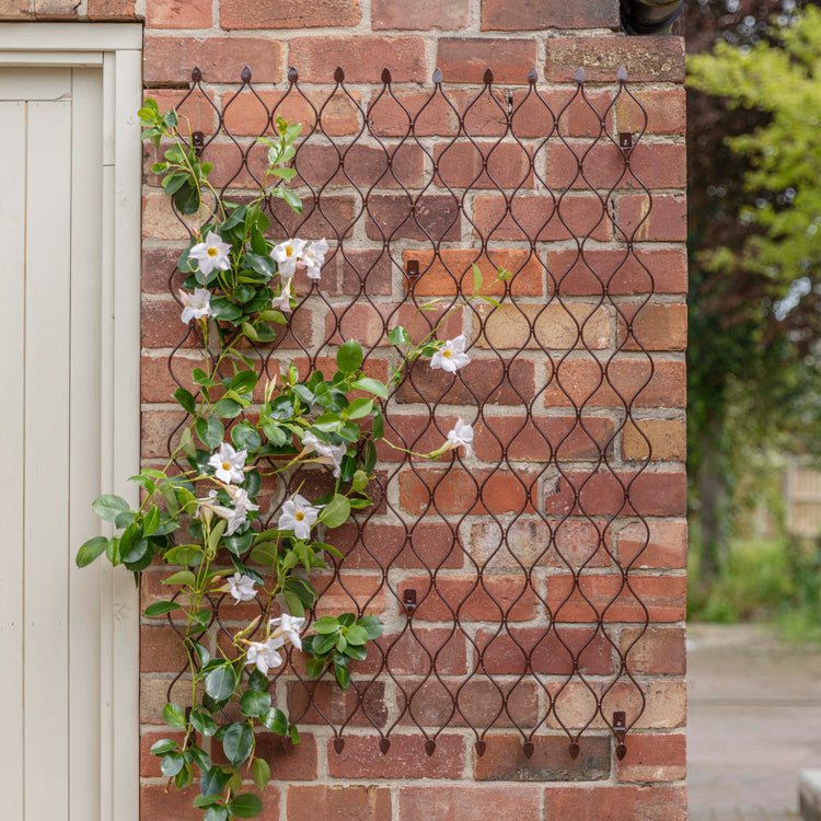 Outdoor Honeycomb Trellis Bronze H84cm W62cm - Skandi London