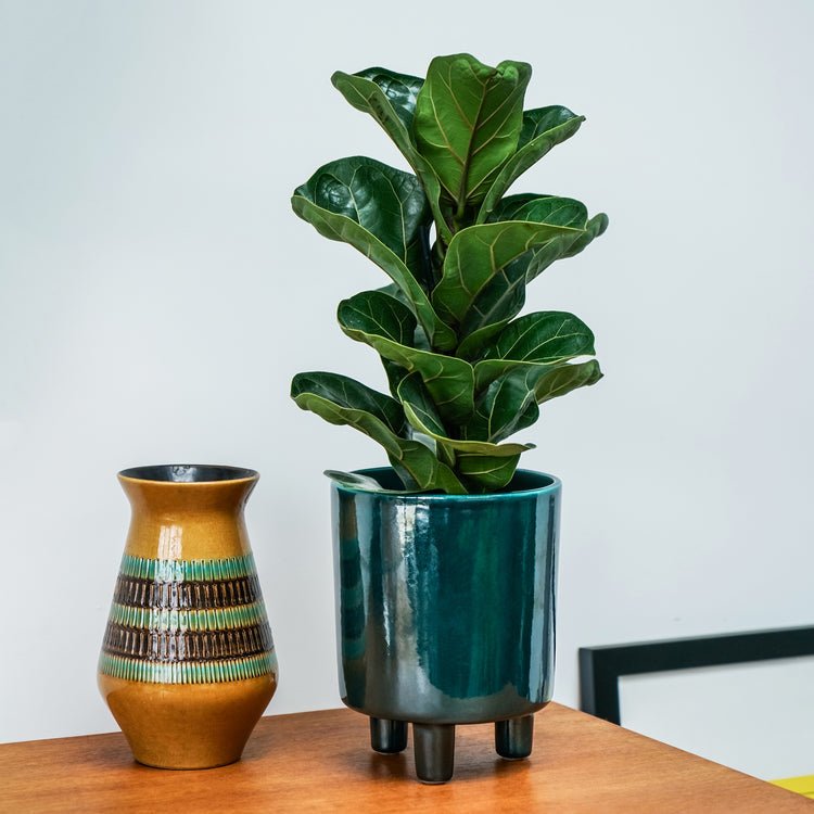 Pisa Emerald Planter H24Cm D20Cm - Skandi London