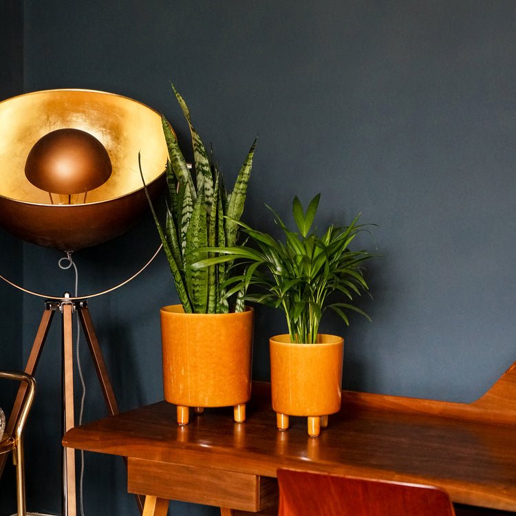 Pisa Mustard Planter H24Cm D20Cm - Skandi London