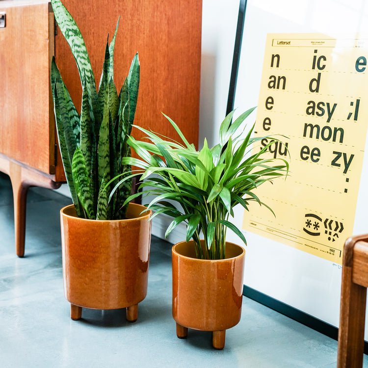 Pisa Mustard Planter H24Cm D20Cm - Skandi London