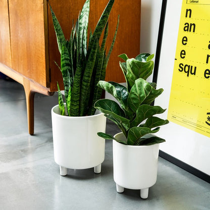 Pisa White Planter H19Cm D16Cm - Skandi London