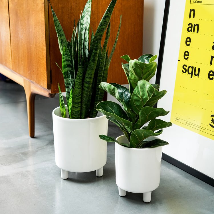 Pisa White Planter H24Cm D20Cm - Skandi London