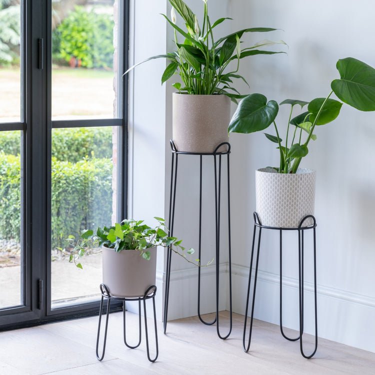 Saluzzo Black Plant Stand H64cm D22cm - Skandi London