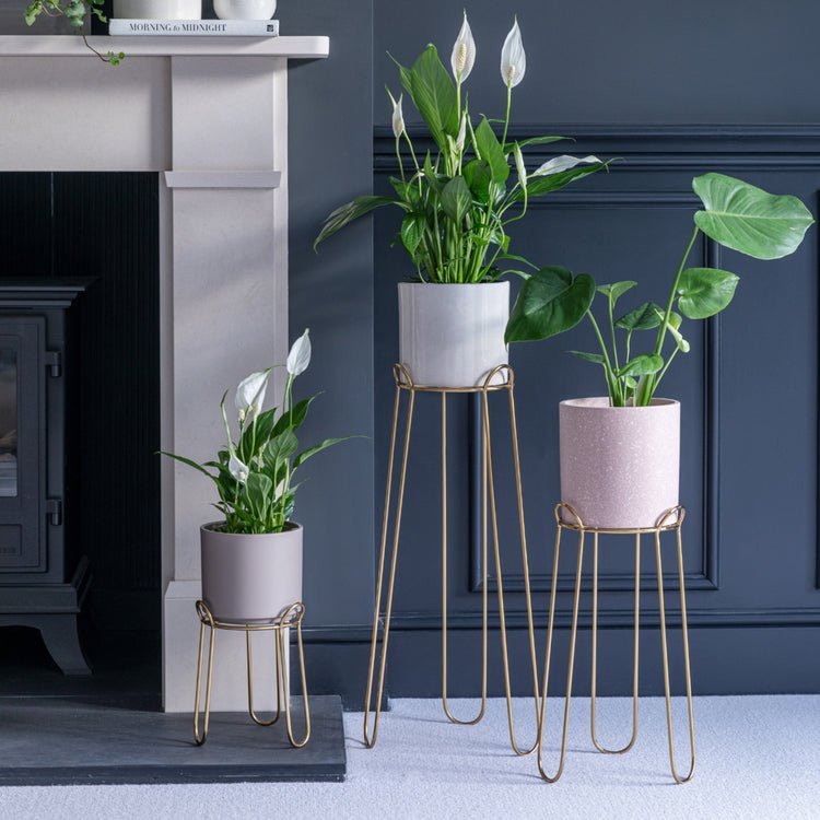 Saluzzo Gold Plant Stand H64cm D22cm - Skandi London