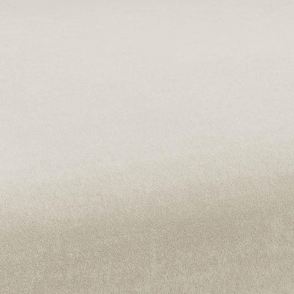 Kim Velvet Chair in Cream - Skandi London