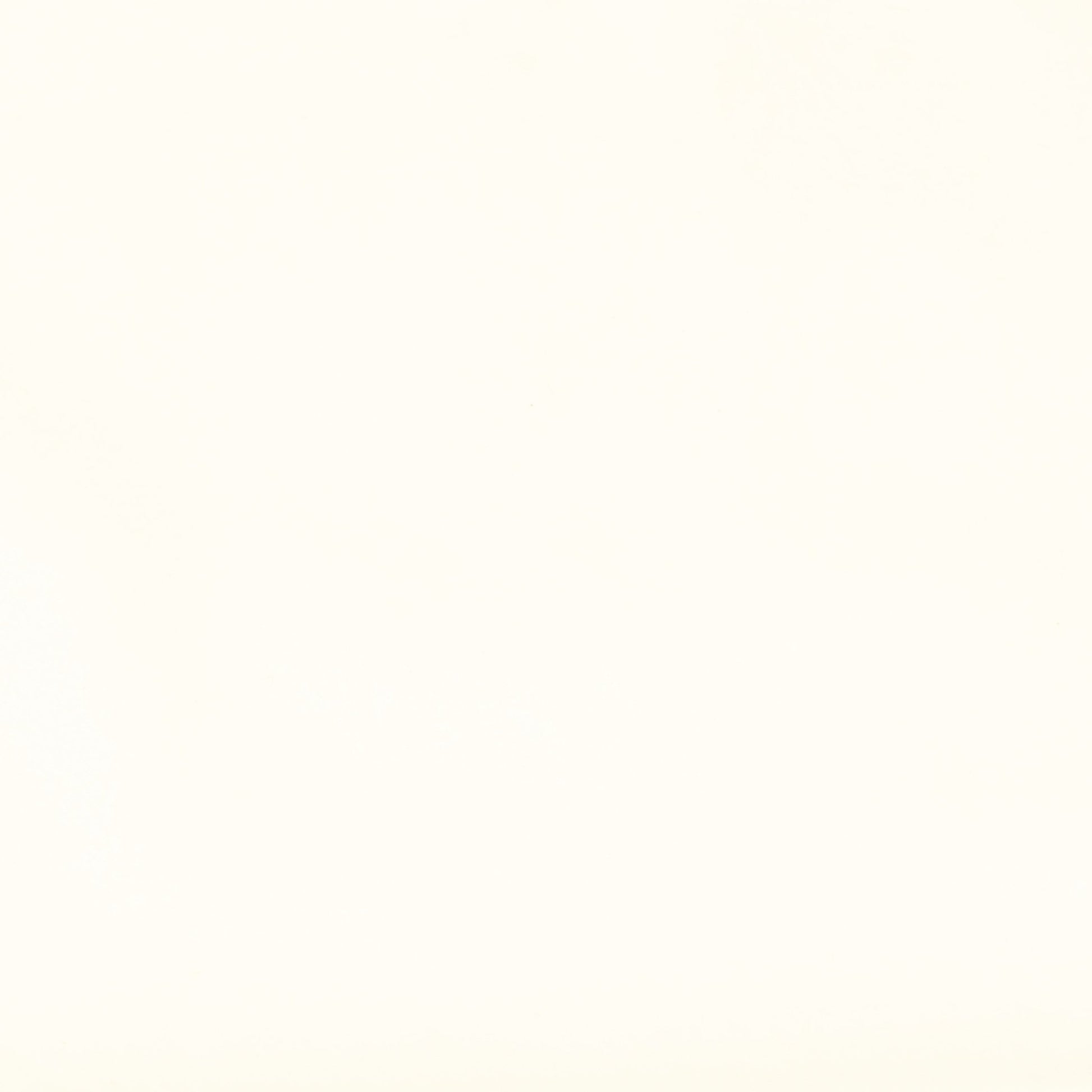 Julia Cream Velvet Channel Tufted Wingback Chair - Skandi London