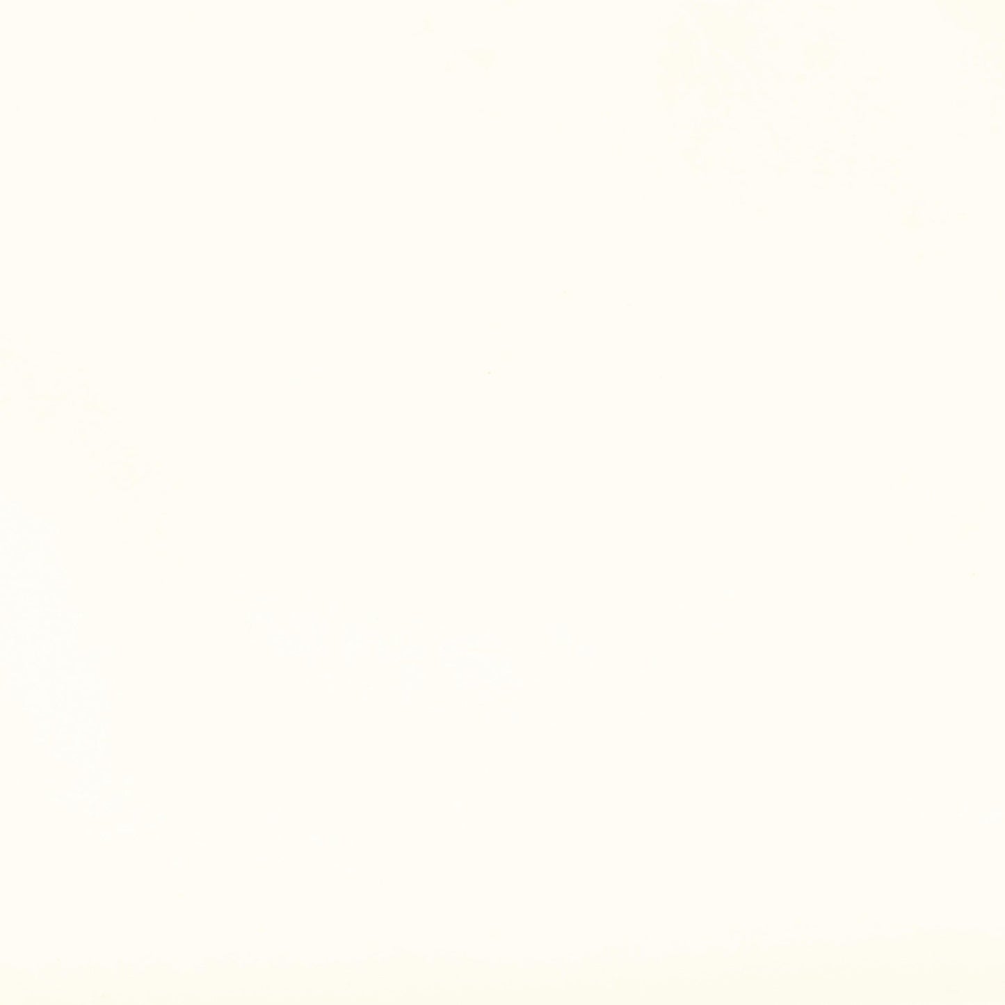 Kendall Cream Velvet Sofa - Skandi London