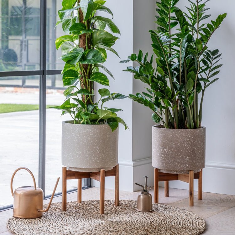 Valetta Ivory Speckled Planter with Stand H37cm D28cm - Skandi London