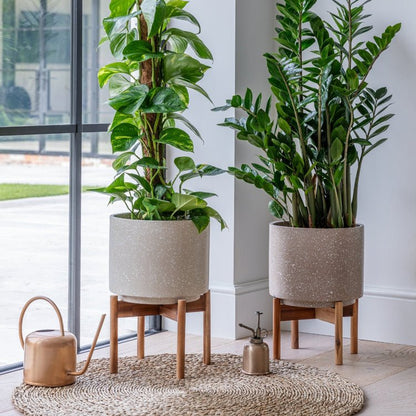 Valetta Ivory Speckled Planter with Stand H37cm D28cm - Skandi London