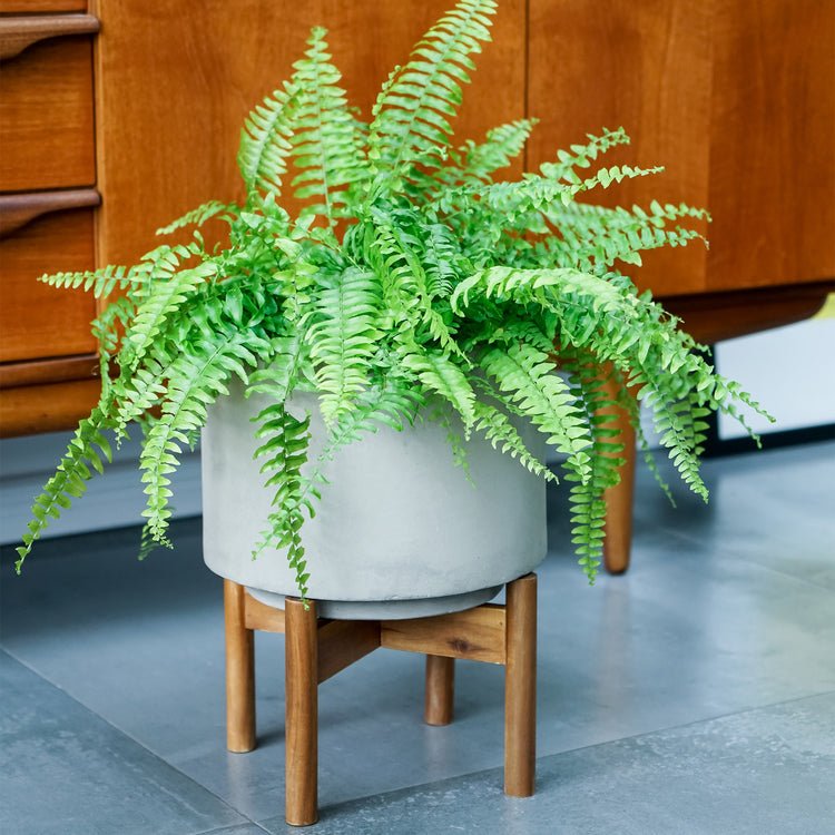 Vigo Concrete Grey Planter with Stand D28cm - Skandi London