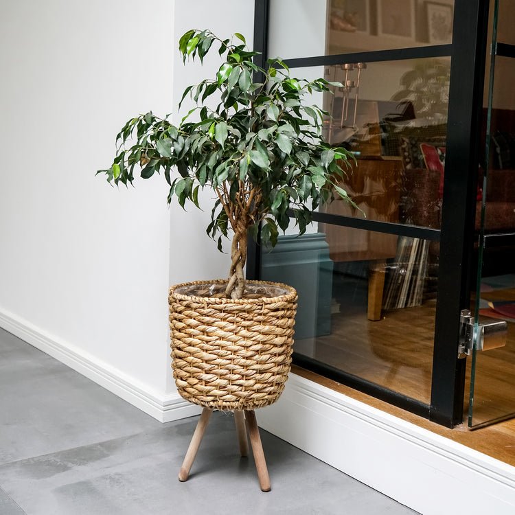 Water Hyacinth Lined basket on Legs H45Cm D30Cm - Skandi London
