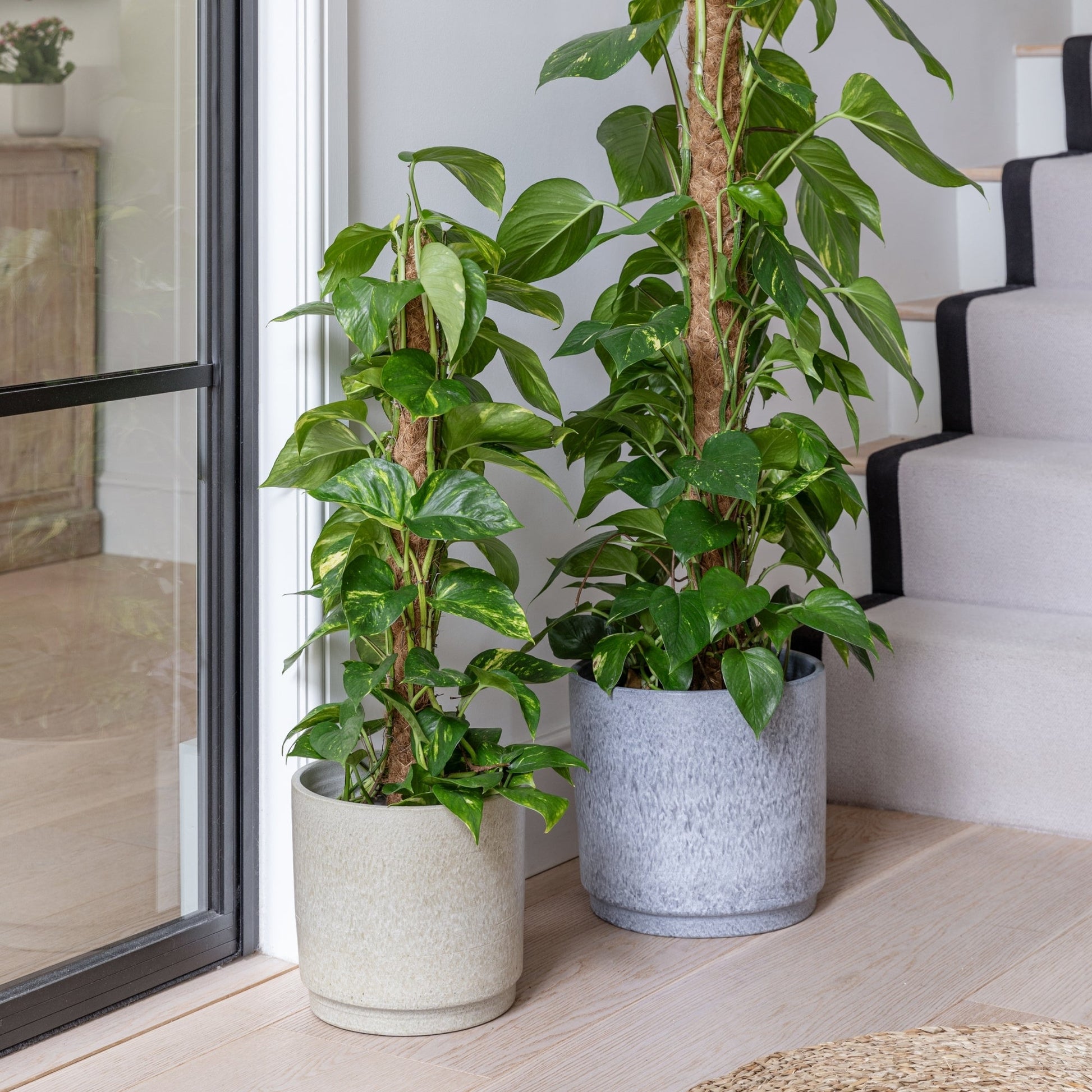 Wesley Marble Cream Planter H22cm D26cm - Skandi London