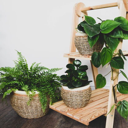 Seagrass Pot Cover Natural Nested set of 2 - Skandi London