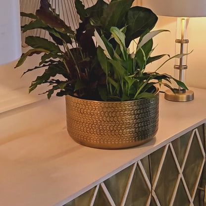 Thor Embossed Bowl Gold - Skandi London