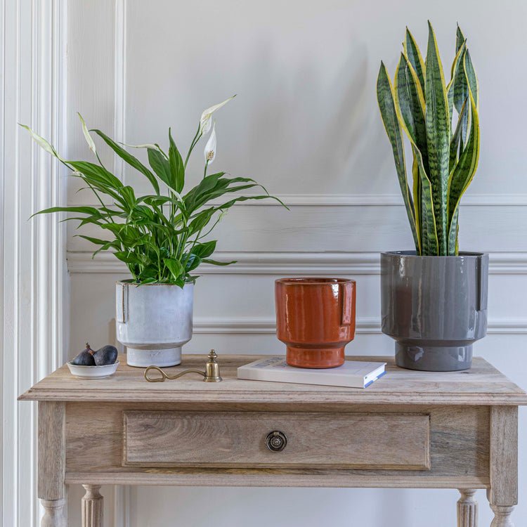 Aries Glazed handles planter Rust H20cm D19cm - Skandi London